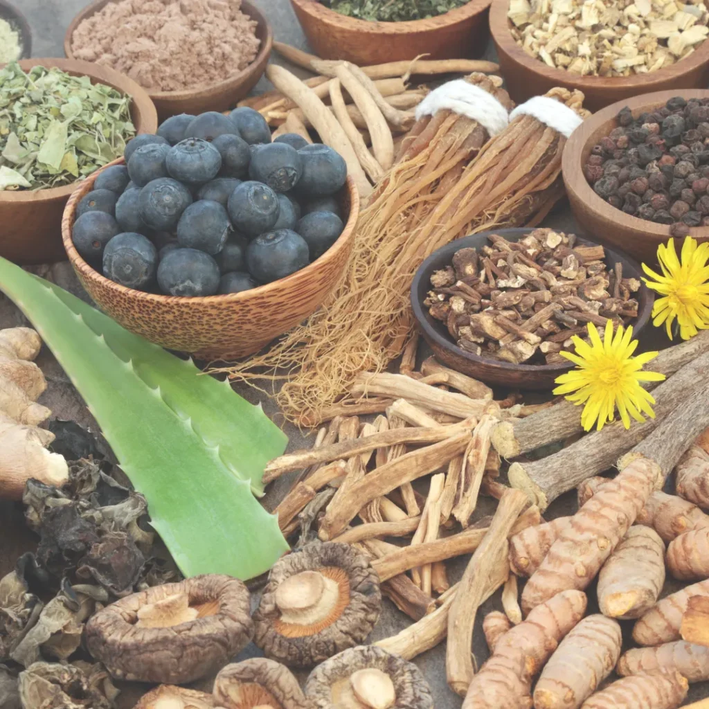 A vibrant collection of adaptogenic and medicinal herbs, roots, and berries, including ginseng, turmeric, aloe vera, shiitake mushrooms, and blueberries, arranged in bowls on a wooden surface.
