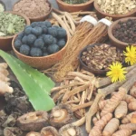 A vibrant collection of adaptogenic and medicinal herbs, roots, and berries, including ginseng, turmeric, aloe vera, shiitake mushrooms, and blueberries, arranged in bowls on a wooden surface.
