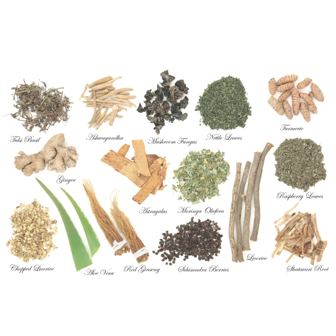 An assortment of common adaptogenic herbs laid out and labeled on a white background, including Ashwagandha, Tulsi Basil, Red Ginseng, Schisandra Berries, and Licorice Root.
