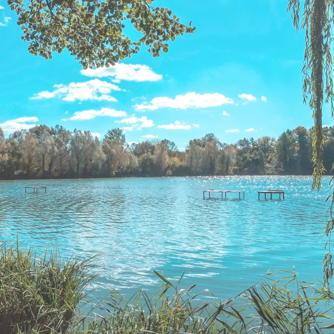A calm, bright blue lake on a sunny day, representing the cooling and clarifying effects of intentional hydration for summer energy balance.