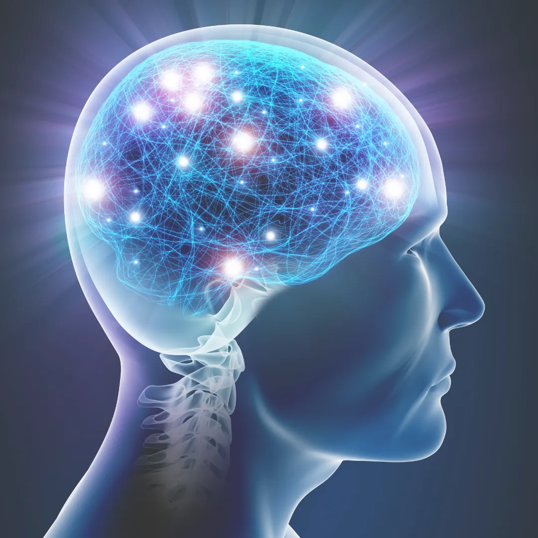 A scientific illustration of a transparent human head showing a glowing blue neural network within the brain, representing the complex systems involved in empathy.