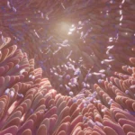 Illustration of the gut biofield connection with microbiota among intestinal villi