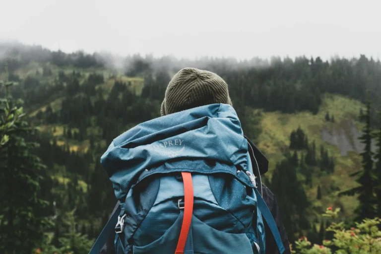 Person seen from behind wearing a rain-flecked backpack looking out over a misty forested hillside