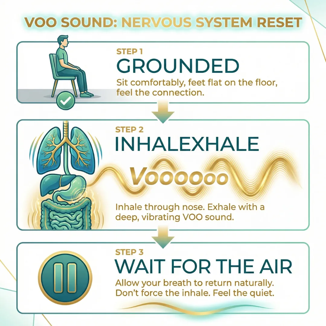 Step-by-step illustration of the Voo Hum exercise for Vagus Nerve stimulation: 1. Sit grounded. 2. Create a low-frequency vibration in the lungs and gut. 3. Pause to allow the nervous system to reset.