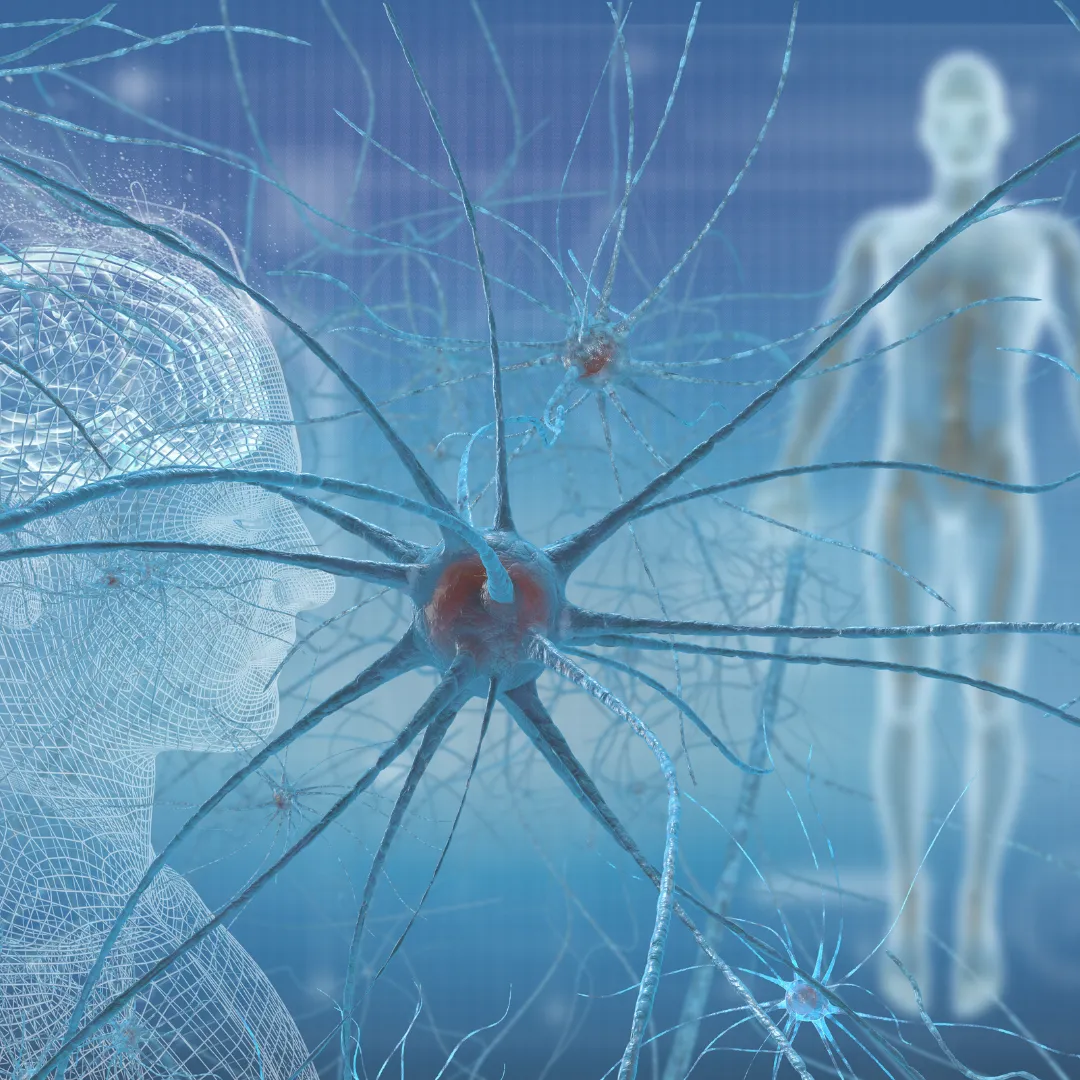 An abstract scientific image showing neurons in the foreground with a wireframe human head and a transparent human figure, symbolizing the mirror-neuron system.