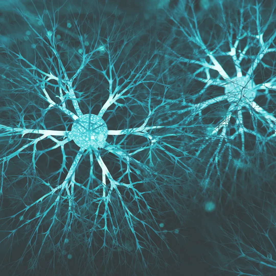 Digital visualization of a neural network, symbolizing nervous system regulation through Somatic Experiencing.