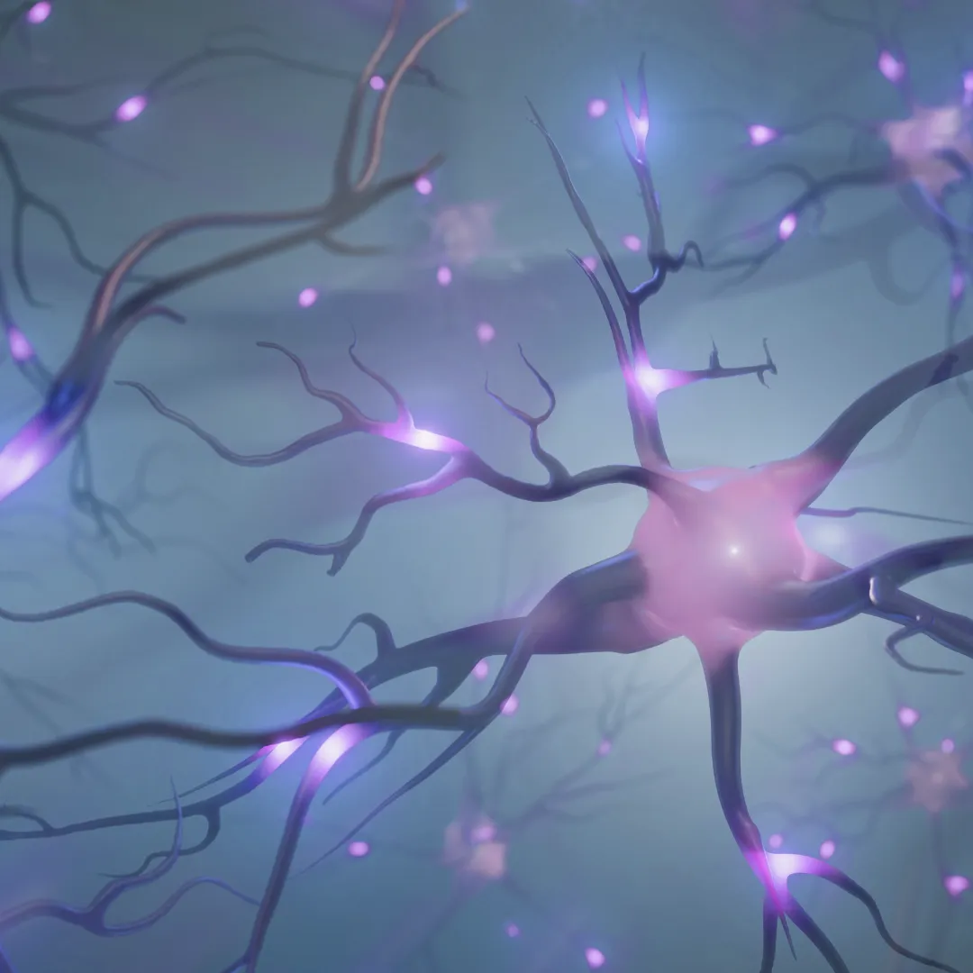 A futuristic illustration of a neural network with glowing purple synapses, symbolizing how neuromodulation, biofeedback, and PEMF can stabilize and support neuroplastic change.