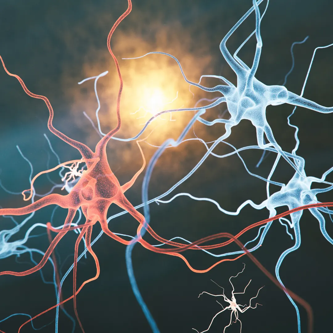 A scientific illustration of red and blue neurons firing and forming new connections, symbolizing the process of neuroplasticity and the rewiring of existing brain circuits.