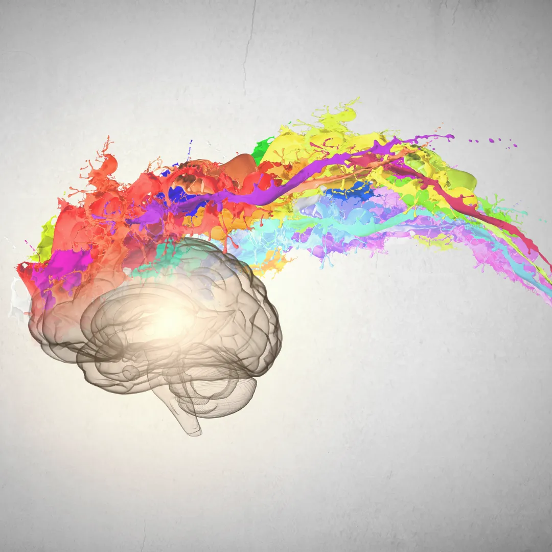 An illustration of the human brain with a vibrant splash of rainbow-colored paint flowing from it, representing the neuroscience of creativity and mental flexibility.