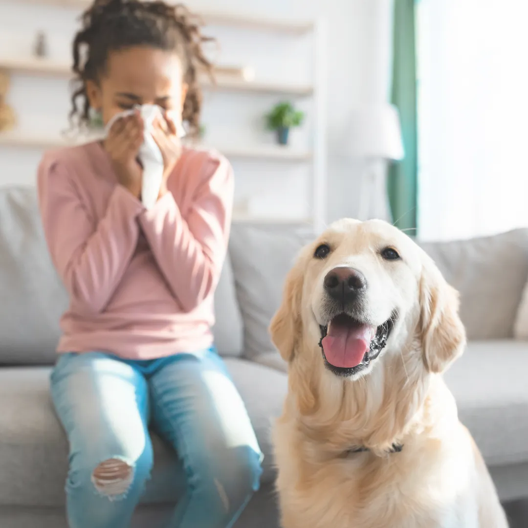 A young girl sneezing while sitting near a dog, illustrating pet allergies and natural relief solutions.