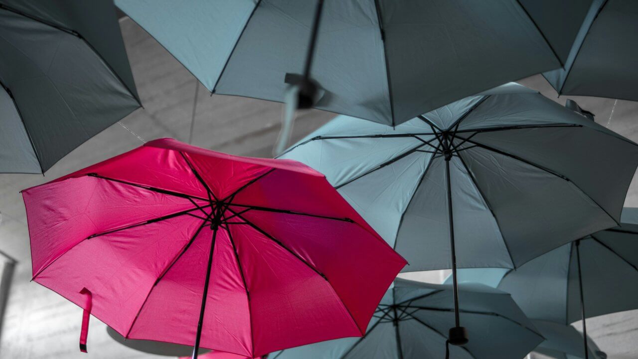 Predictability Is Helpful But Too Much Can Become Limiting