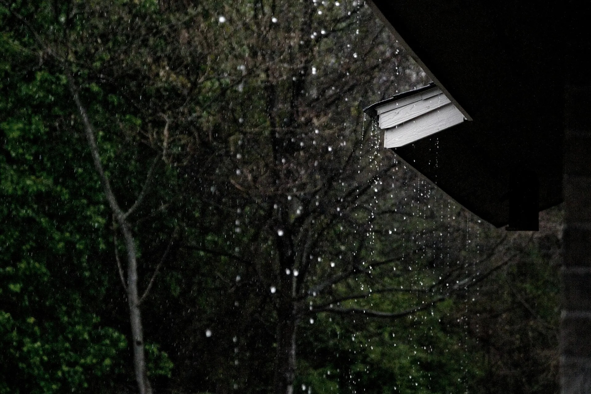Rain falling past a rooftop in front of dark green trees at dusk