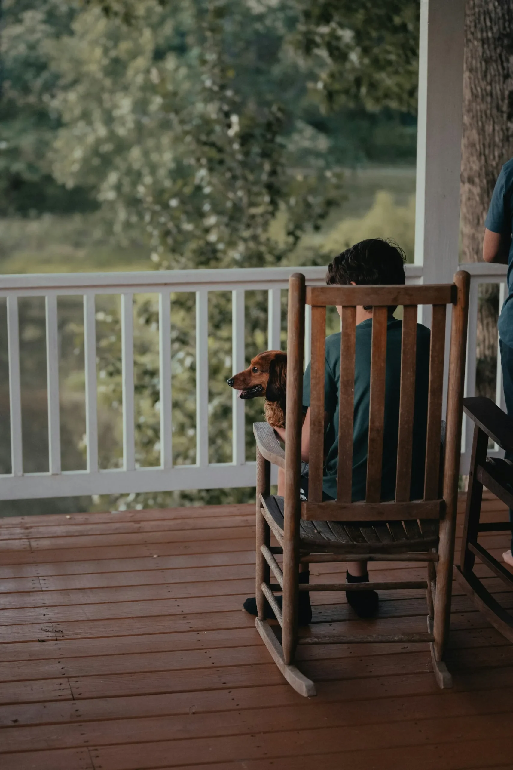 Child sitting in a wooden rocking chair on a porch beside a dog, looking out at trees