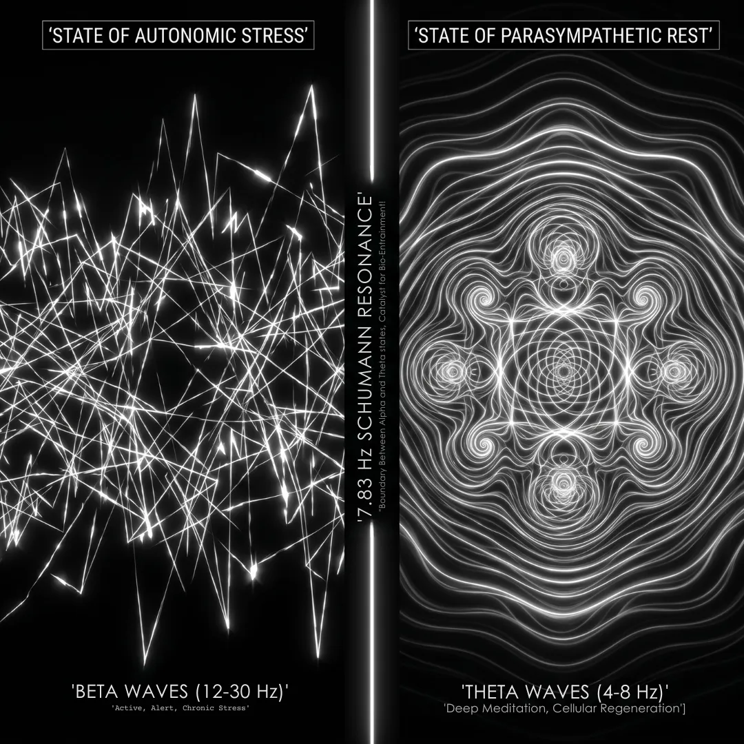 A visual comparison between the chaotic patterns of Beta waves (12-30 Hz) during autonomic stress and the harmonious geometric patterns of Theta waves (4-8 Hz) during parasympathetic rest via Schumann Resonance.