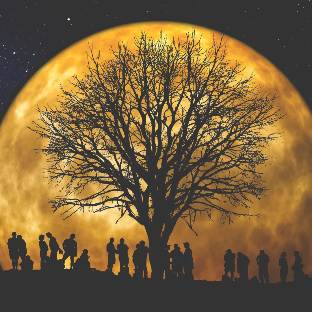 A silhouette of a community gathered under a large tree and full moon, symbolizing the importance of social wellness and strong human connections.