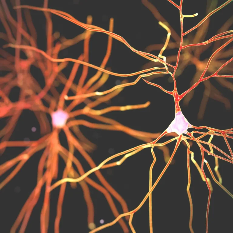 Neural pathways illustrating stress and somatic symptom responses