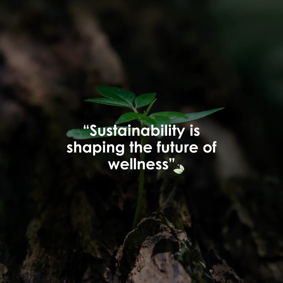 sustainability_therawellness